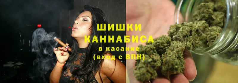 Где можно купить наркотики Вилючинск Бошки Шишки  Alpha-PVP  ГАШ  Меф  Cocaine 